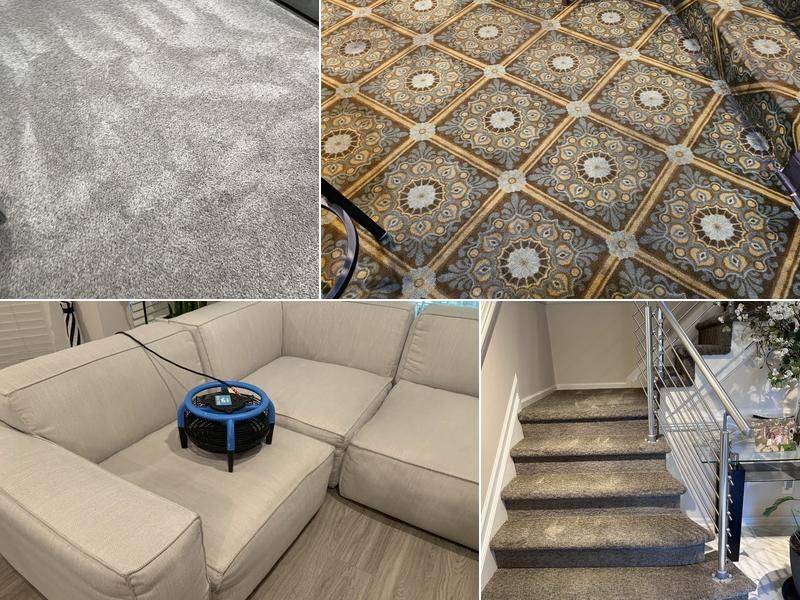 Carpet Line - Professional Carpet & Rug Services