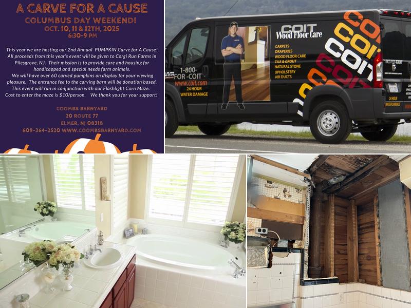 COIT Cleaning and Restoration