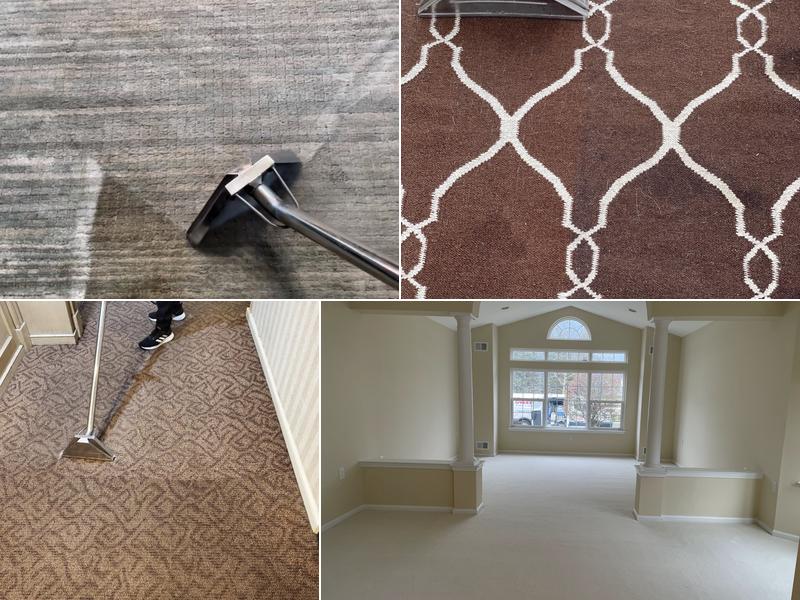 Accurate Carpet Cleaning & Maintenance Inc