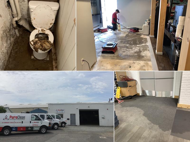 PuroClean Mitigation & Restoration Services