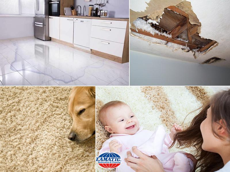 Steamatic of Albuquerque and Santa Fe