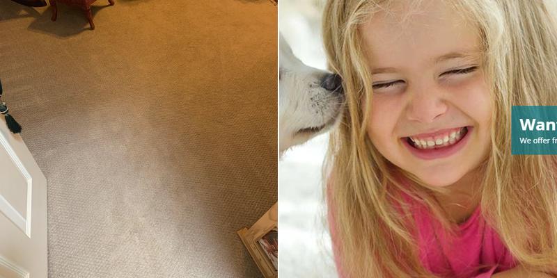 Carpet Care Plus & Safety Sweep LLC