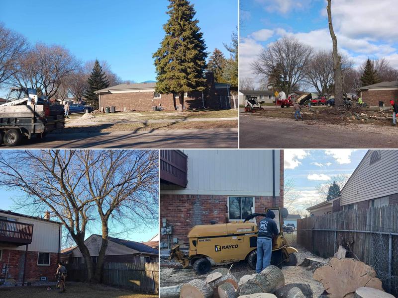 Clear View Tree Removal Detroit MI