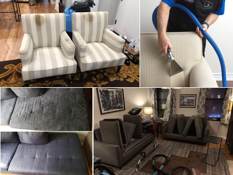 Green Earth Carpet & Couch Cleaning Service