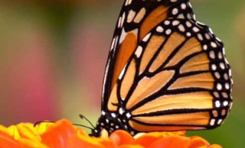 Timothy P. Doyle Funeral Home Inc.