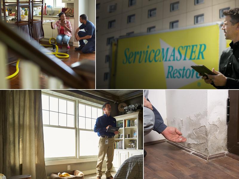 ServiceMaster by Holobinko