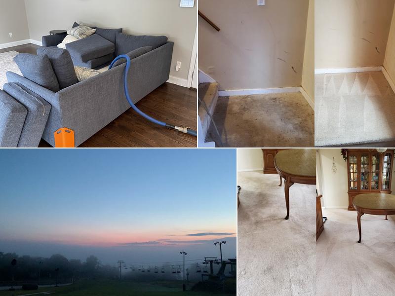 Professional Carpet Systems