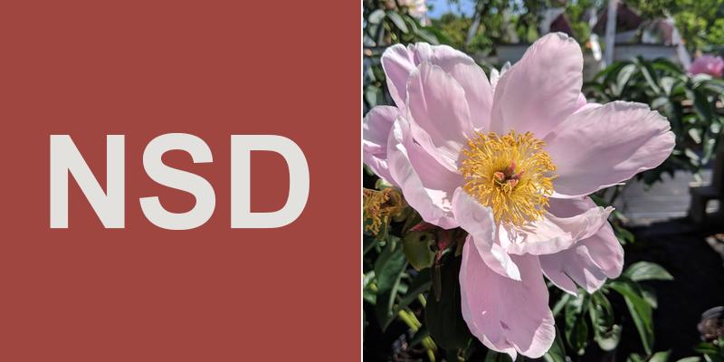 North Star Drilling, LLC