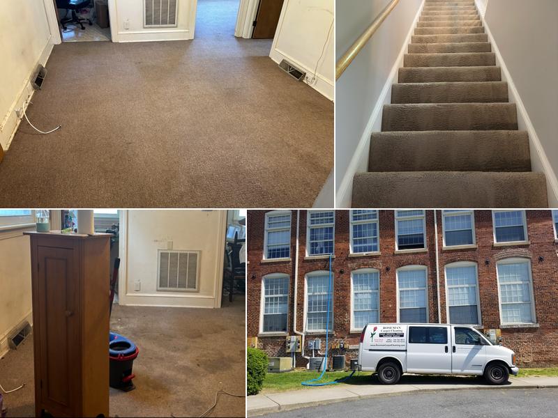 Roseman Carpet Cleaning
