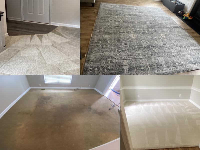 Settle Green and Clean