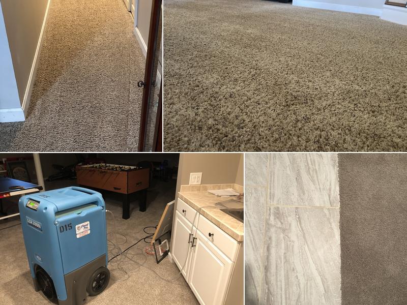 Carpet Pro Services
