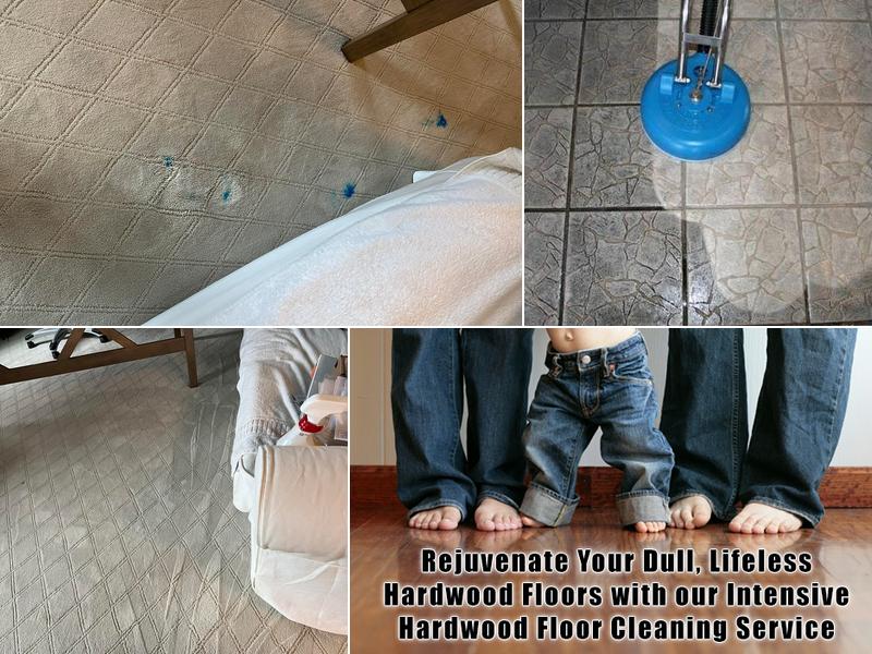 Infinity Carpet Care