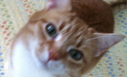 Gulf Brook Renovations Inc. Canterbury