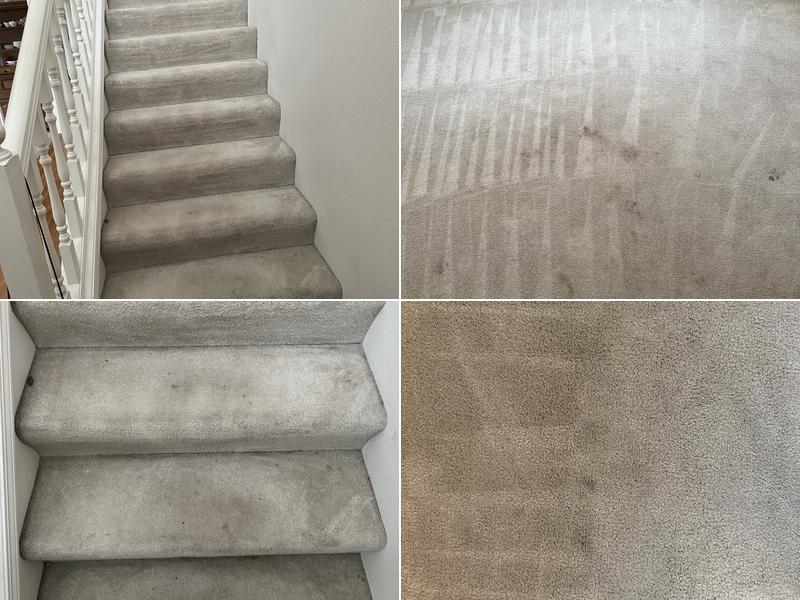 Curtis-E Carpet Cleaning