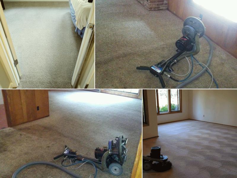 Absolute Carpet Cleaning Inc