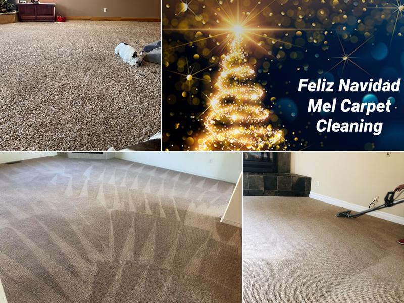 Mel Carpet Cleaning Services