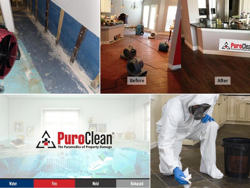 PuroClean of Center Valley