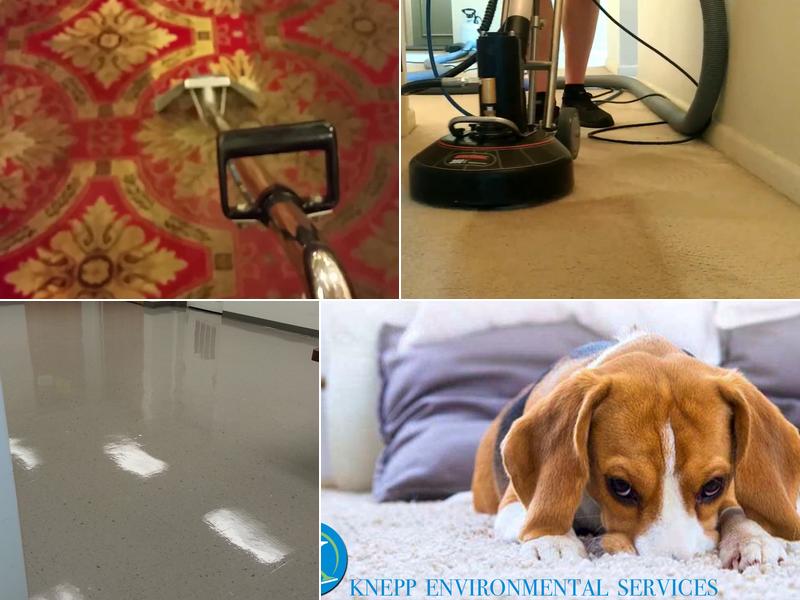 Knepp Environmental Services