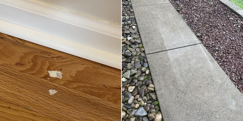 Bella's Army Painting