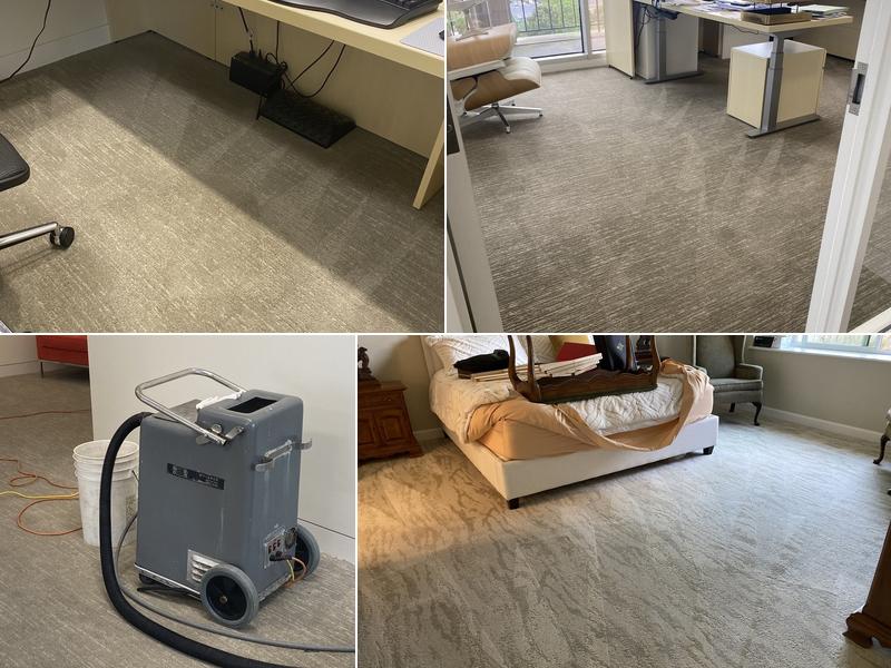 Fantastic Carpet Services