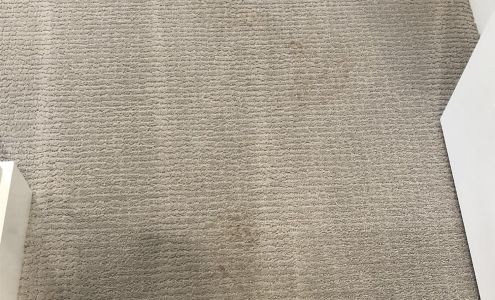 Magic Touch Carpet Cleaning