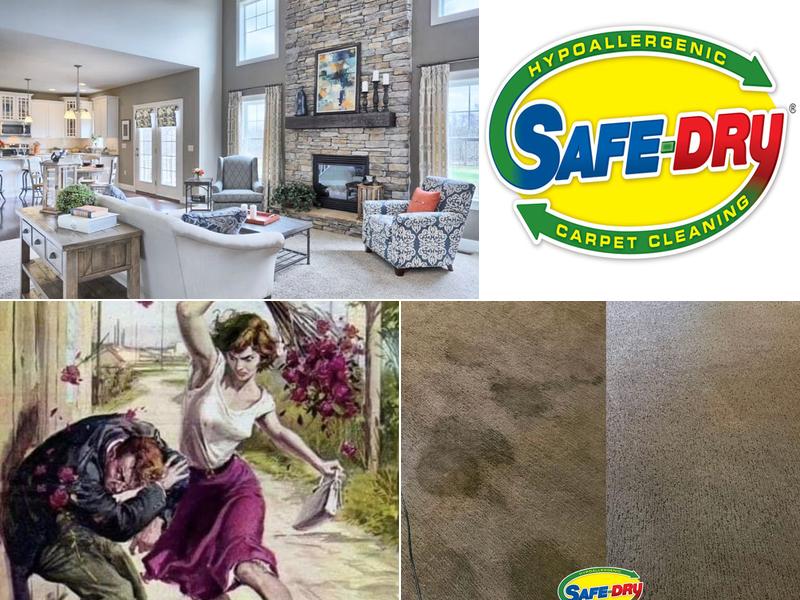 Safe-Dry Carpet Cleaning