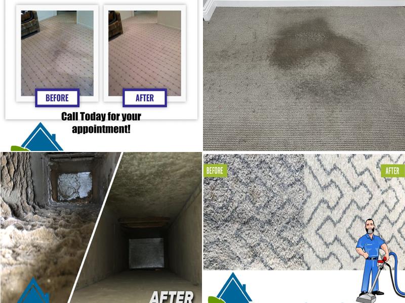 Signature Carpet Care