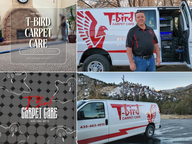 T Bird Carpet Care