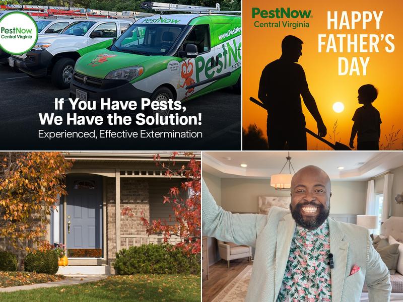 PestNow of Central Virginia | Ruther Glen