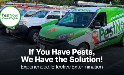 PestNow of Central Virginia | Ruther Glen 17041 Merchants Dr, Ruther Glen Virginia 22546