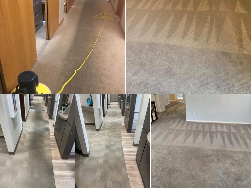 Complete Carpet Care