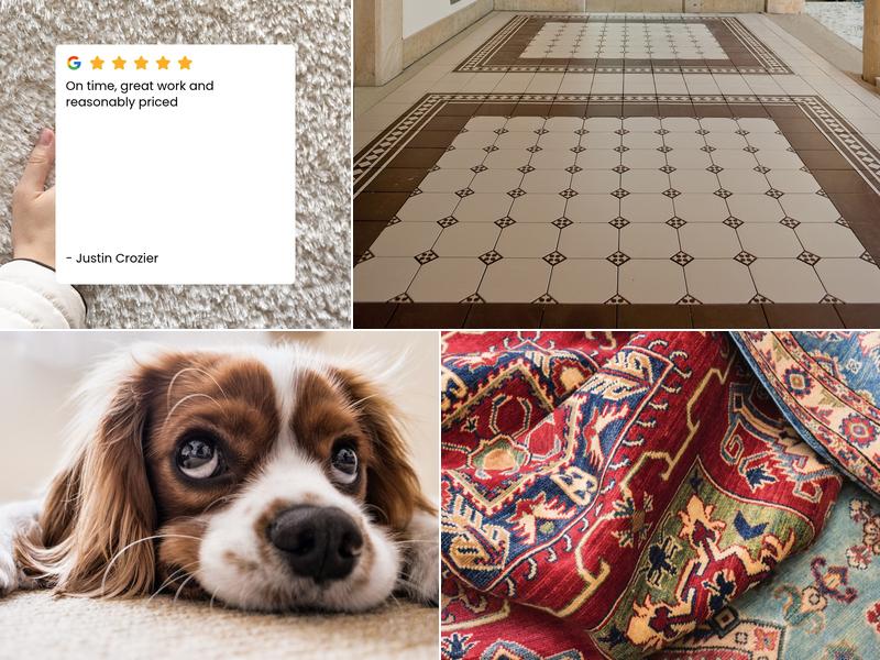 Genesis Carpet Cleaning