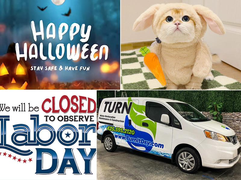 TURN Carpet Cleaning & Water Restoration