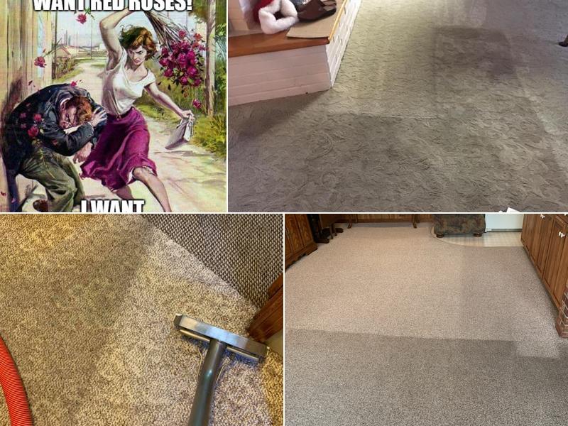 Steamers Carpet Cleaning