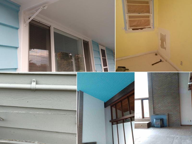 Pro Painters League, LLC (# PROPAPL809BG)