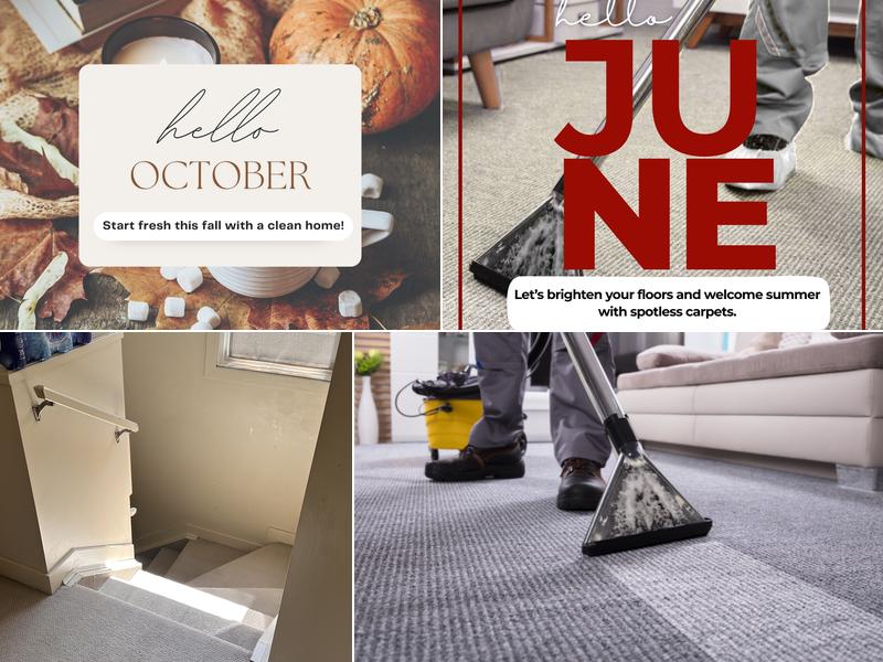 Maple Leaf Carpet Cleaning