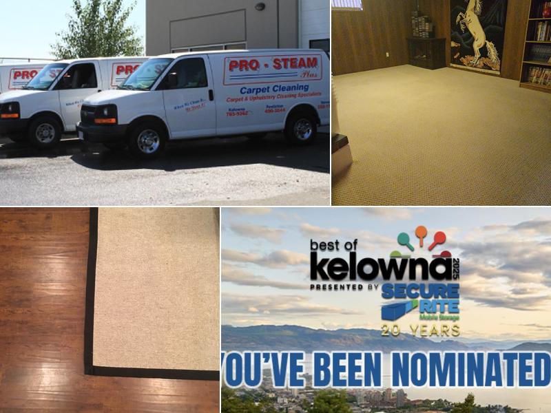 Pro-Steam Plus Carpet Cleaning