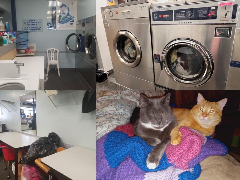 Gold Coin Laundry & Dry Cleaning