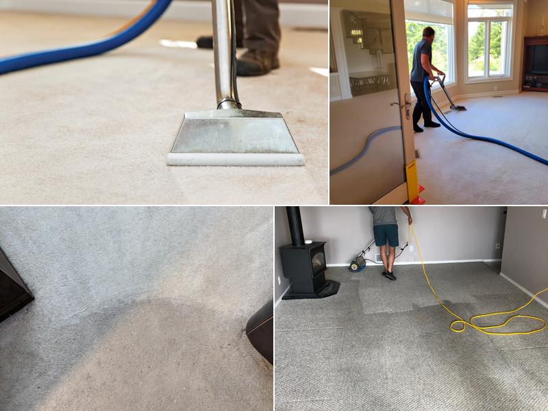 Absolute Carpet Care