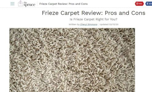 Action Carpet Care Inc