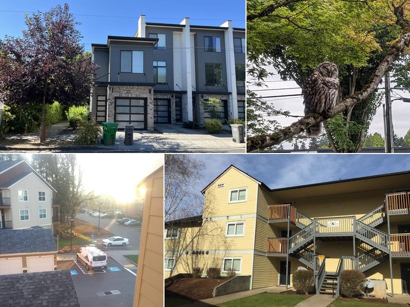 Summit Reconstruction & Restoration