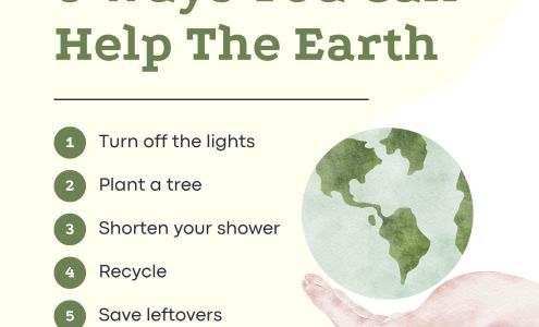 Scott Lindsay Construction Inc.