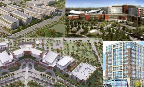 Cole Construction, LLC