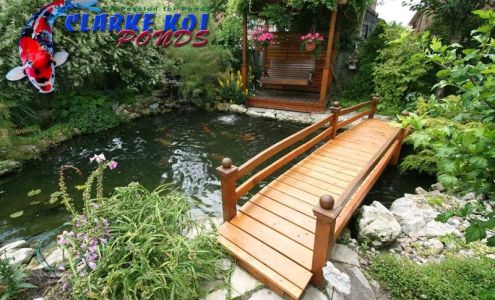 Clarke Koi Ponds inc