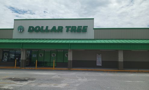 Dollar Tree Metter