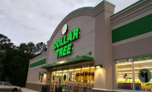 Dollar Tree Pooler