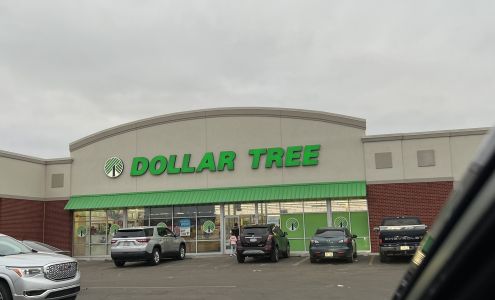 Dollar Tree Albion
