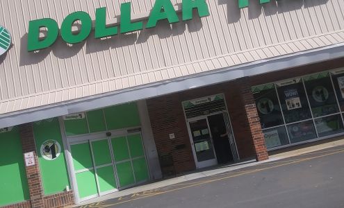 Dollar Tree Spruce Pine