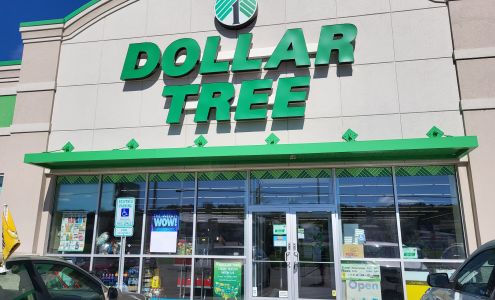 Dollar Tree Ripon