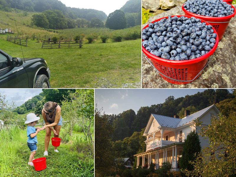 Old Orchard Creek Farm